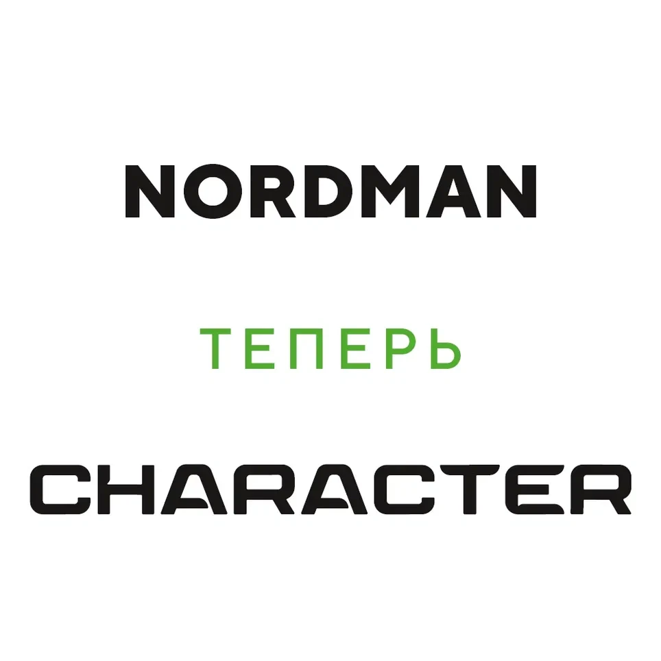 Ikon (Nokian Tyres) Character Snow 2 205/55 R16 94R (XL) заказать